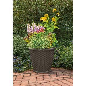 22%22+Sonora+Decorative+Planters