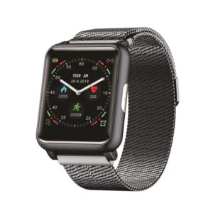ECG+%2B+PPG+Smart+Sports+Watch+Milanese+Titanium