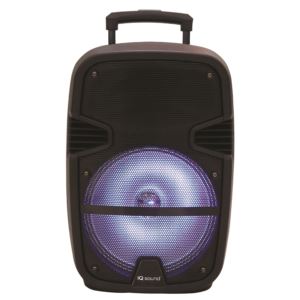 15%22+Professional+Bluetooth+Speaker
