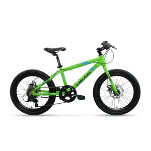 Sporco+20%22+Kids+Bike+w%2F+7+Speed+Shifters+Green