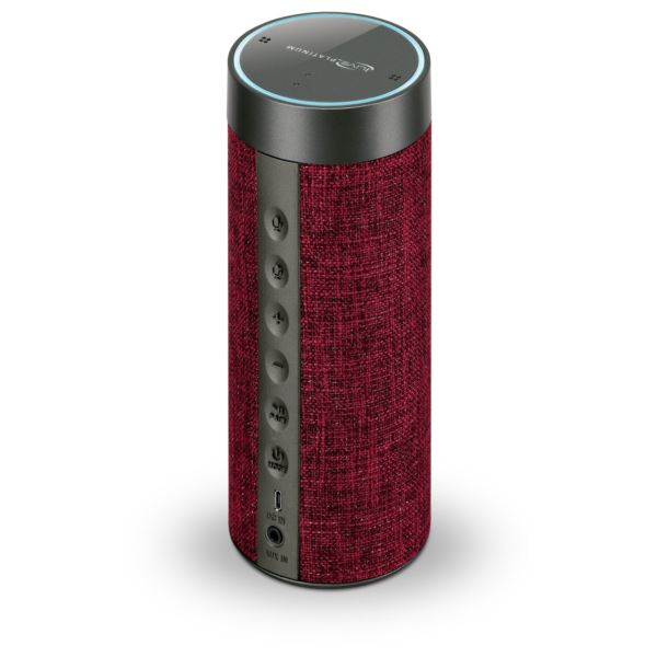 portable alexa