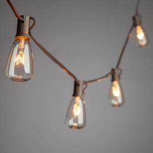 10ct+Edison+Bulb+Light+Set
