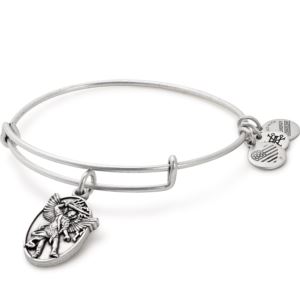 Archangel Michael Charm Bangle - Rafaelian Silver Finish A17EBAMRS