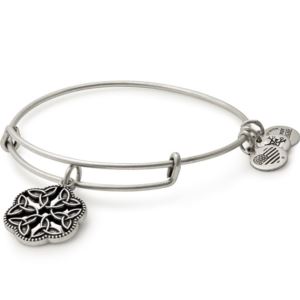 Endless Knot Charm Bangle - Rafaelian Silver Finish A17EBEKRS