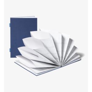 Fan+Folio+Document+Organizer+-+Something+Blue+Exterior%2C+Neutral+Interior