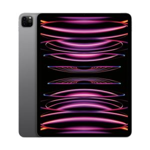 12.9%22+iPad+Pro+Wifi+512GB+Space+Gray