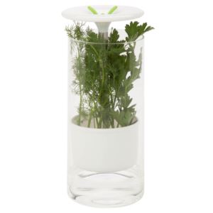 Glass+Herb+Preserver