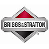 briggs stratton