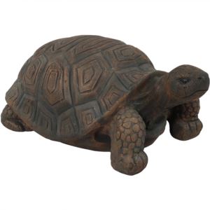 Tanya+the+Tortoise+Indoor+Outdoor+Statue