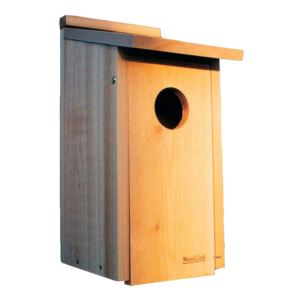 Flicker+House