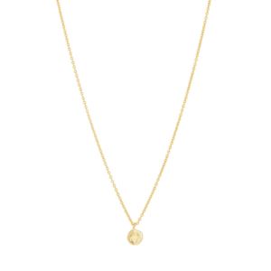 Chloe+Charm+Necklace+Gold