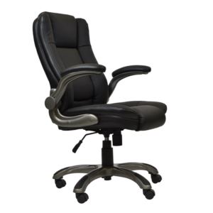 Techni+Mobili+Medium+Executive+Office+Chair+with+Flip-up+Arms%2C+Black
