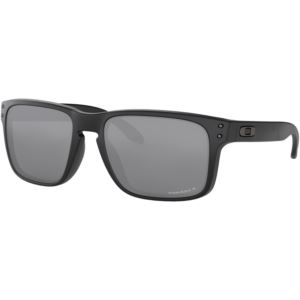 Holbrook Sunglasses - Matte Black/Prizm Black Polarized OO9102-D655