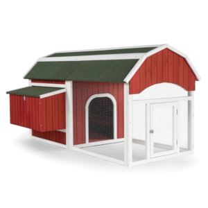 Barn+Chicken+Coop