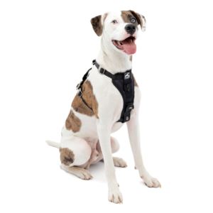TruFit+Enhanced+Strength+Smart+Harness+Medium+Black