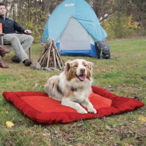 Loft+Wander+Portable+Waterproof+Pet+Bed+Large+Chili+Red