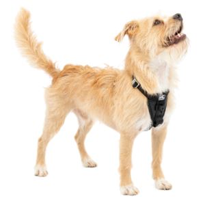 TruFit+Enhanced+Strength+Smart+Harness+Small+Black