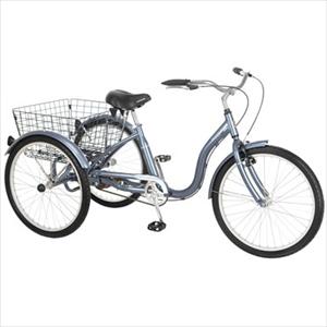 24%22+Unisex+Meridian+24%22+Single+Speed