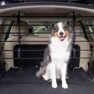 Happy+Ride+Metal+Dog+Barrier