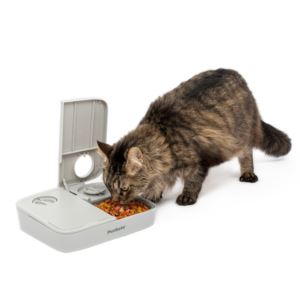 Automatic+2+Meal+Pet+Feeder