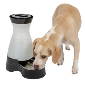 Healthy+Pet+Water+Station+-+Medium