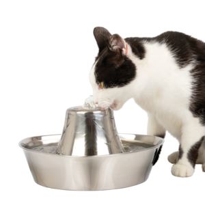 Seaside+Stainless+Pet+Fountain
