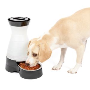 Healthy+Pet+Food+Station+-+Medium