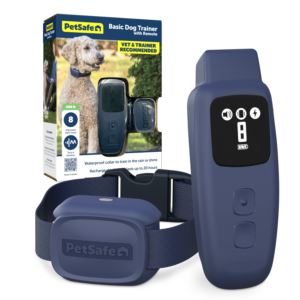 Basic+Dog+Trainer+w+Remote