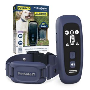 Pro+Dog+Trainer+w+Remote
