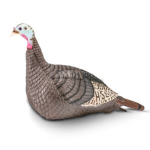 StrutLite+Hen+Decoy
