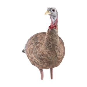 LCD+Lookout+Hen