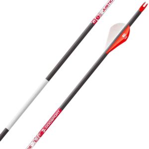 Justice+Arrow+Spine
