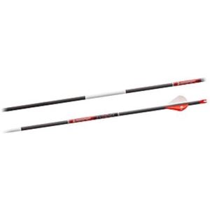 Evidence+Arrow+Spine