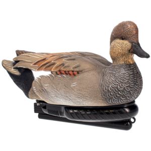 Power+Swimmer+Gadwall+Drake