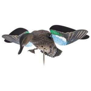 Powerflight+Hen+GreenWinged+Teal