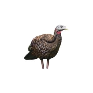 LCD+Breeder+Hen