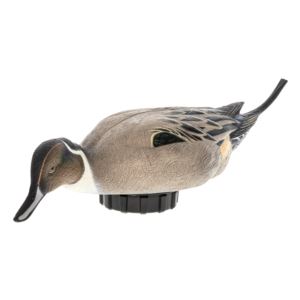 Power+Shaker+Pintail+Surface+Feeder