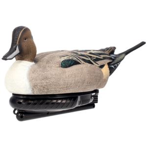 Power+Swimmer+Pintail+Drake