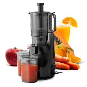 Big+Mouth+Whole+Fruit+Masticating+Slow+Juicer