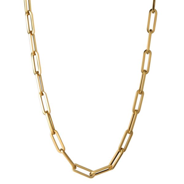 Chunky Paperclip Chain Necklace – Gems In Vogue