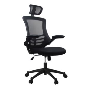 Techni%2BMobili%2BHigh-Back%2BMesh%2BOffice%2BChair%2Bwith%2BFlip-Up%2BArms%252C%2BBlack