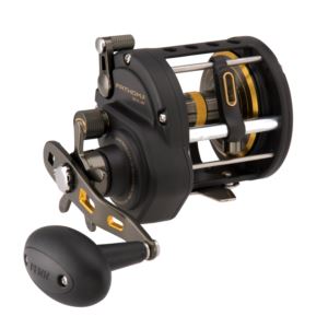 Fathom+II+Level+Wind+Reel+30+Reel+Size