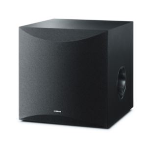 10%22+100W+Subwoofer