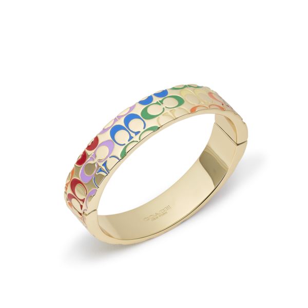 Coach rainbow bracelet deals