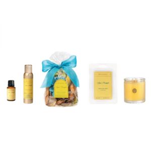 Agave+Pineapple+Essentials+Set