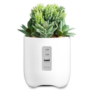 PowerPlant+Plant+Charging+Station+w%2F+Multiple+Charging+Ports