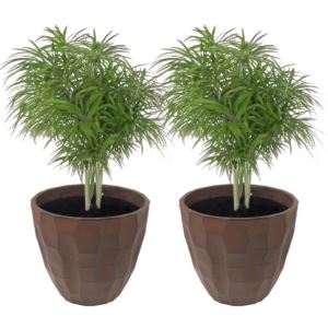 Pebbled+Resin+IndoorOutdoor+Planter+Dark+Brown+Pack