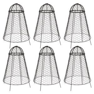 Iron+Mesh+Plant+Protector+with+Cloche+Lid+-+6-Pack