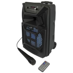 Wireless+Tailgate+Party+Speaker+w+Microphone