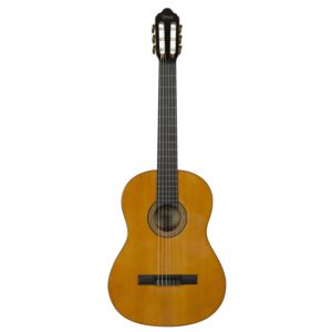 Valencia%2BSeries%2BGuitar